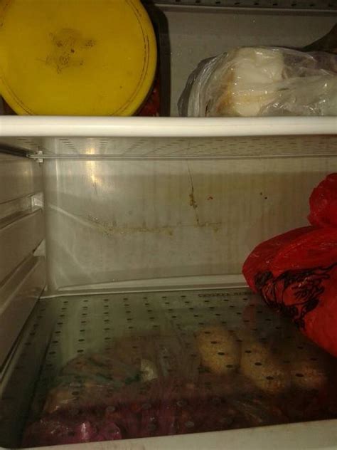 冰箱位置風水 裂纹